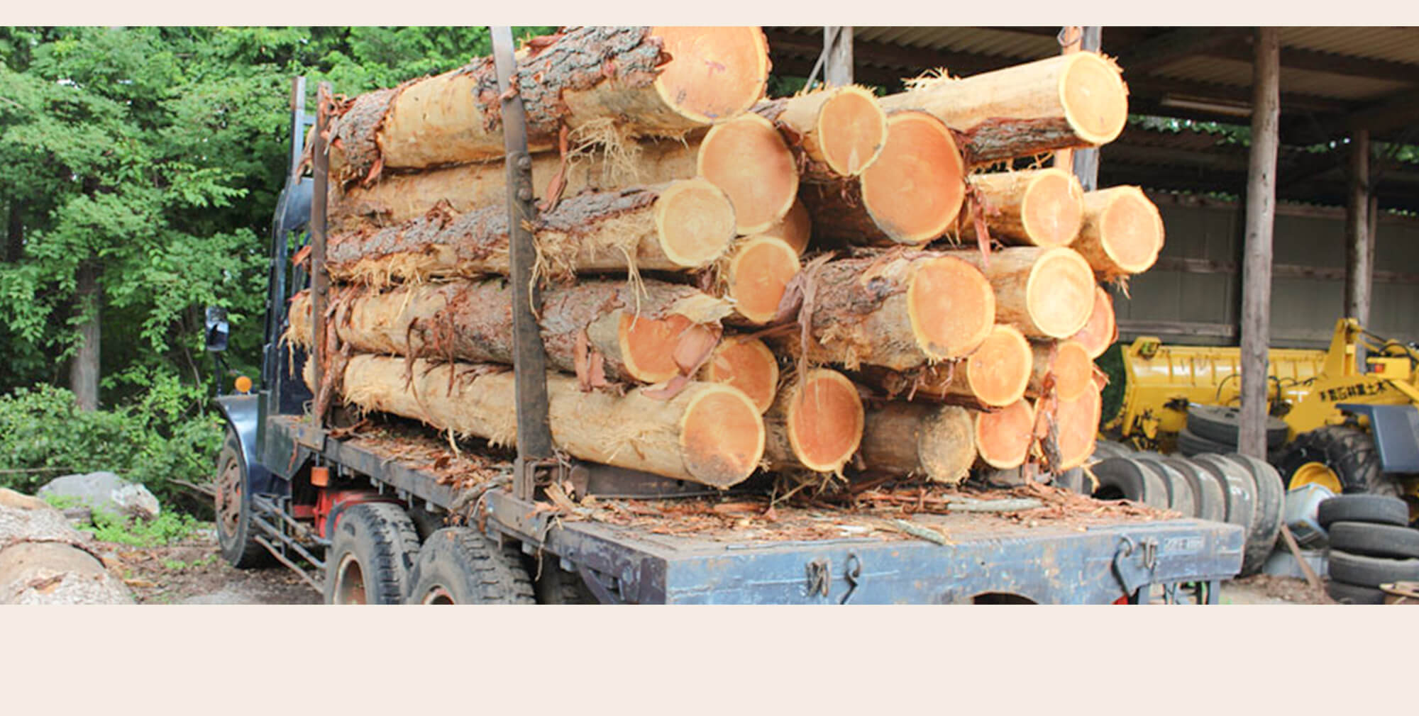 伐る、つくる、届ける。山と暮らしを結ぶ林業 森のぬくもりを、そのままあなたへ